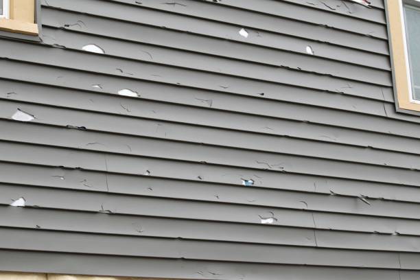 Best Construction Debris Removal  in Park Ridge, NJ
